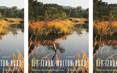 A Little Blue Cabin on the Iowa River: Finding a Home ‘that Carries You Forward’