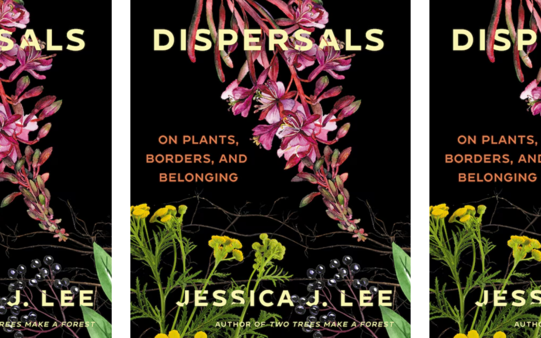 Dispersals: On Plants, Borders and Belonging