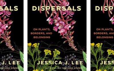 Dispersals: On Plants, Borders and Belonging