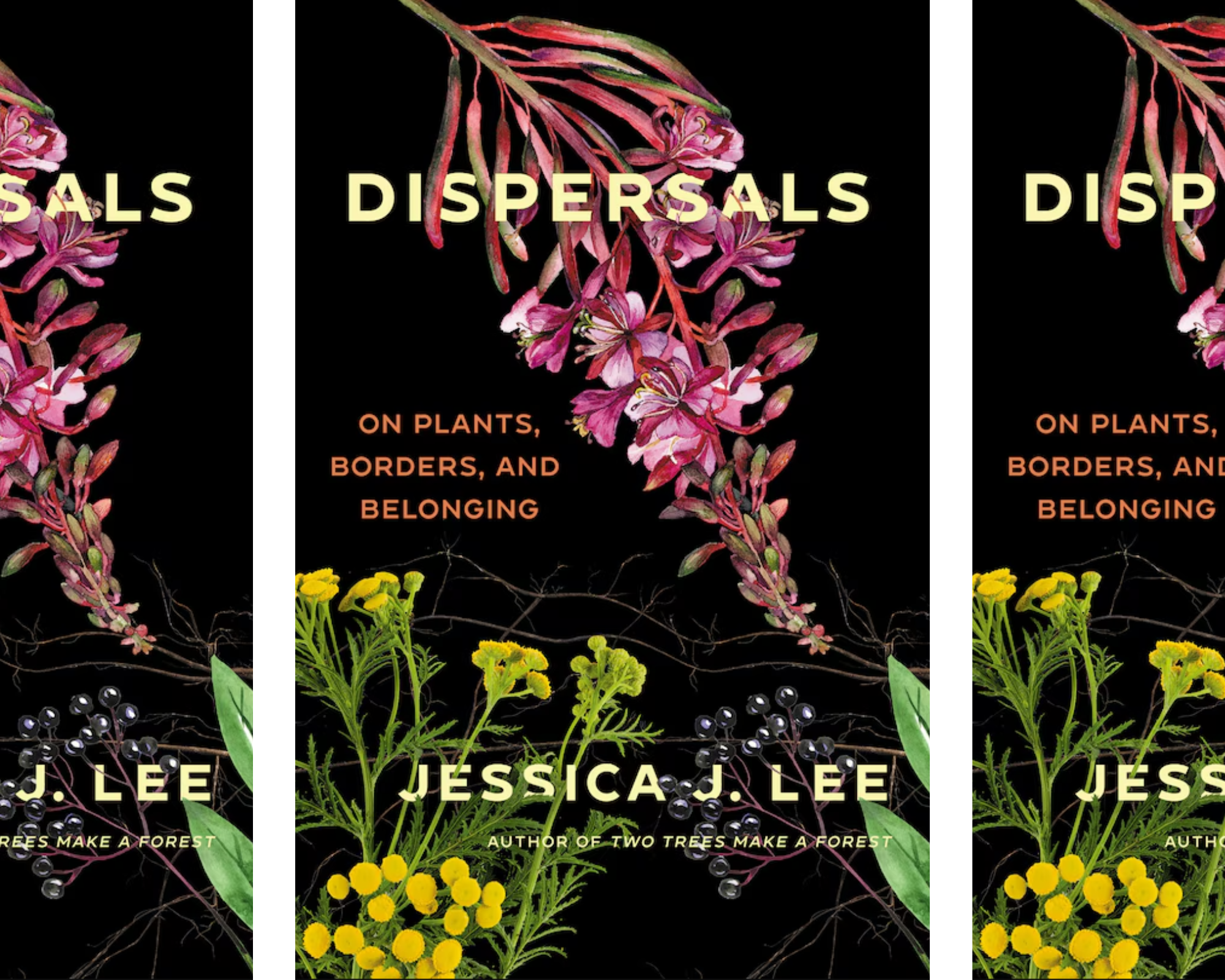 Dispersals: On Plants, Borders and Belonging - Fourth Genre
