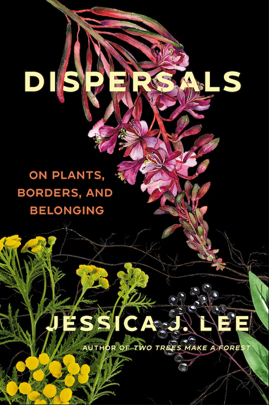book cover, flowers on a black background