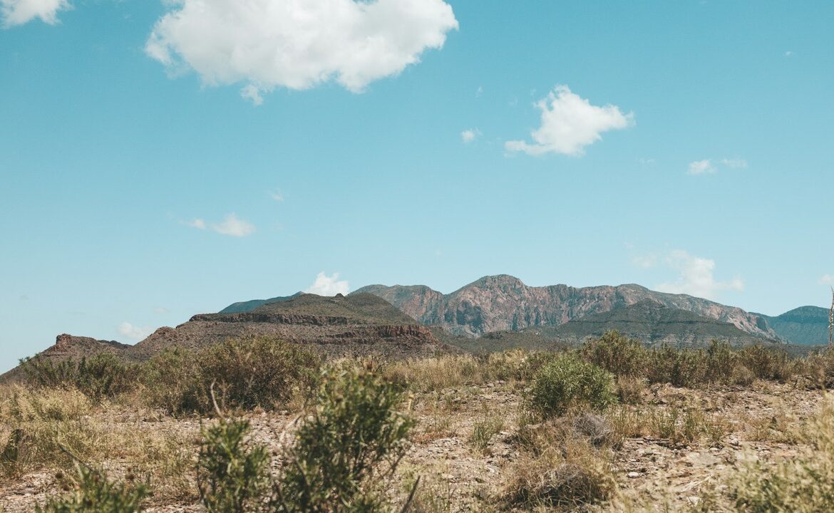 image of texas wilderness