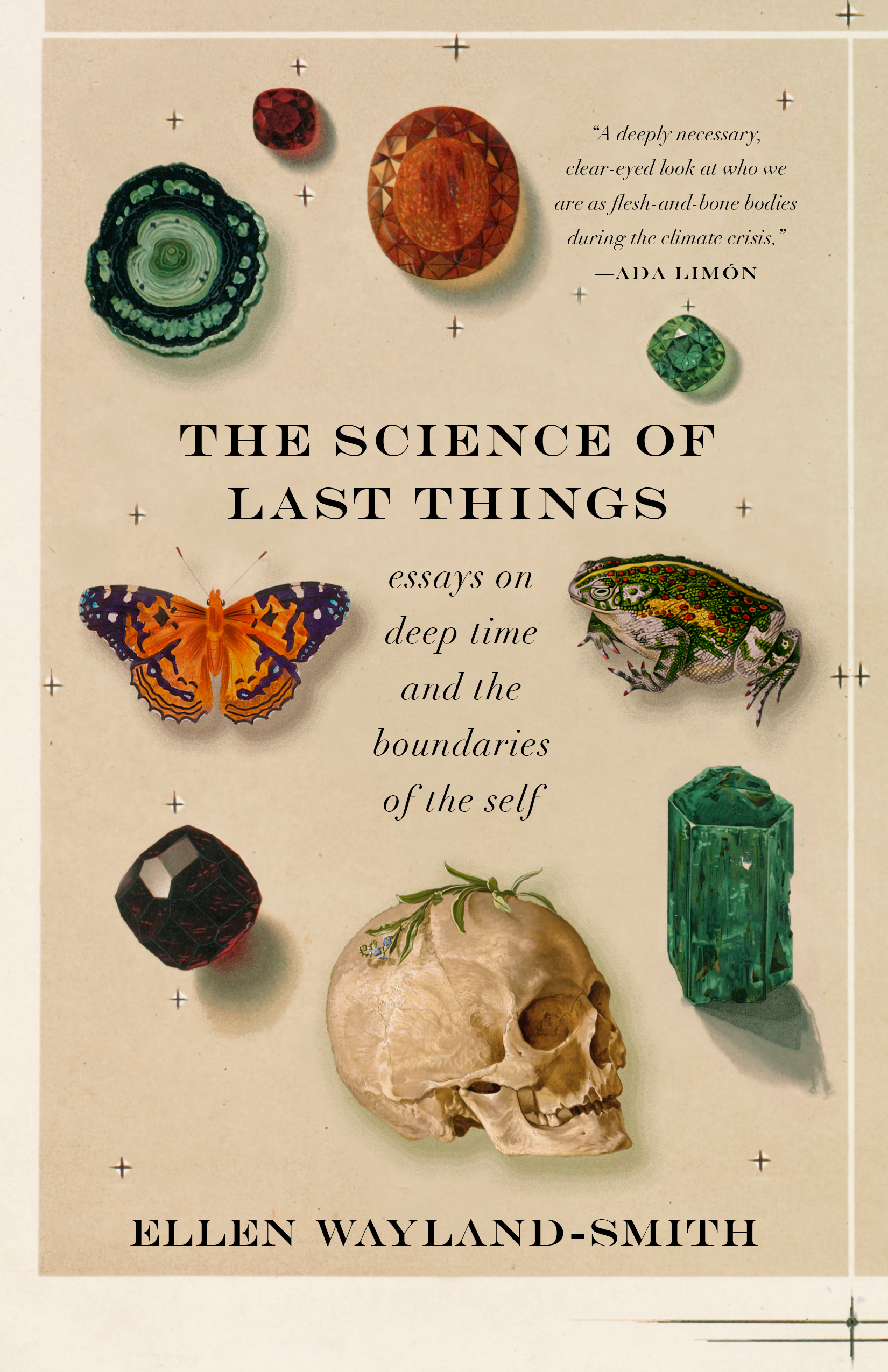 Book cover, skulls, butterflies, rocks 